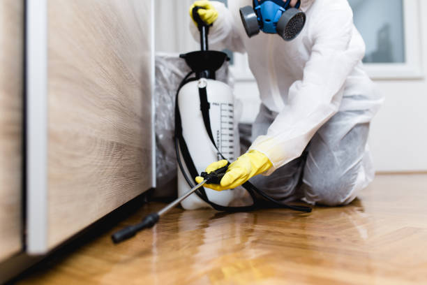 Best Local Pest Control Services  in Foster Brook, PA