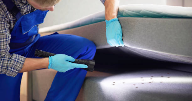 Best Exterminator Services  in Foster Brook, PA