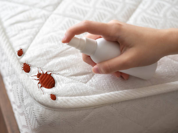 Best Pest Inspection Near Me  in Foster Brook, PA