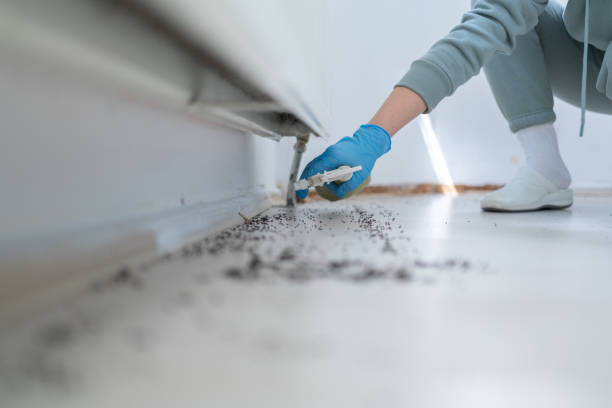 Best Emergency Pest Control  in Foster Brook, PA